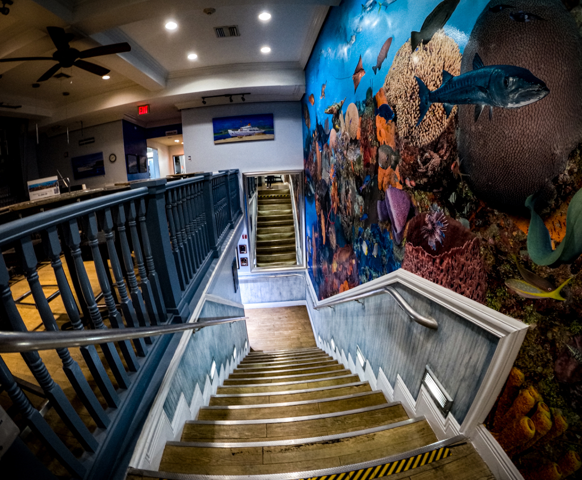 The Reef Mural wrapping the staircase between SeaRock's two floors